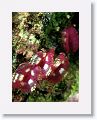 02-UnionIsland - 13
